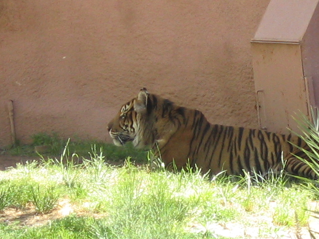 618x457 pixels (181K)